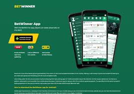 Maximize Your Wins with Betwinner A Comprehensive Guide Maximize Your Wins with Betwinner A Comprehensive Guide