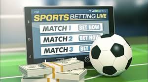 Exploring the Thrills of Bolivia Bet Your Guide to Betting in Bolivia