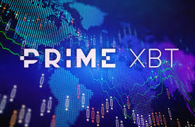 Exploring PrimeXBT Forex Unlocking Trading Potential Exploring PrimeXBT Forex Unlocking Trading Potential