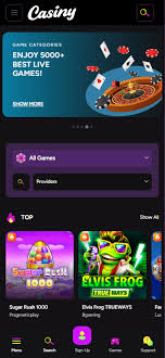 Understanding Casiny Media The Future of Online Gambling Understanding Casiny Media The Future of Online Gambling