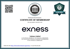 Comprehensive Guide to Analytics Exness