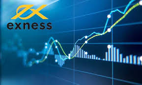 Understanding the Exness Broker Login Process